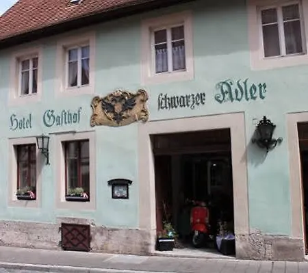 Schwarzer Adler